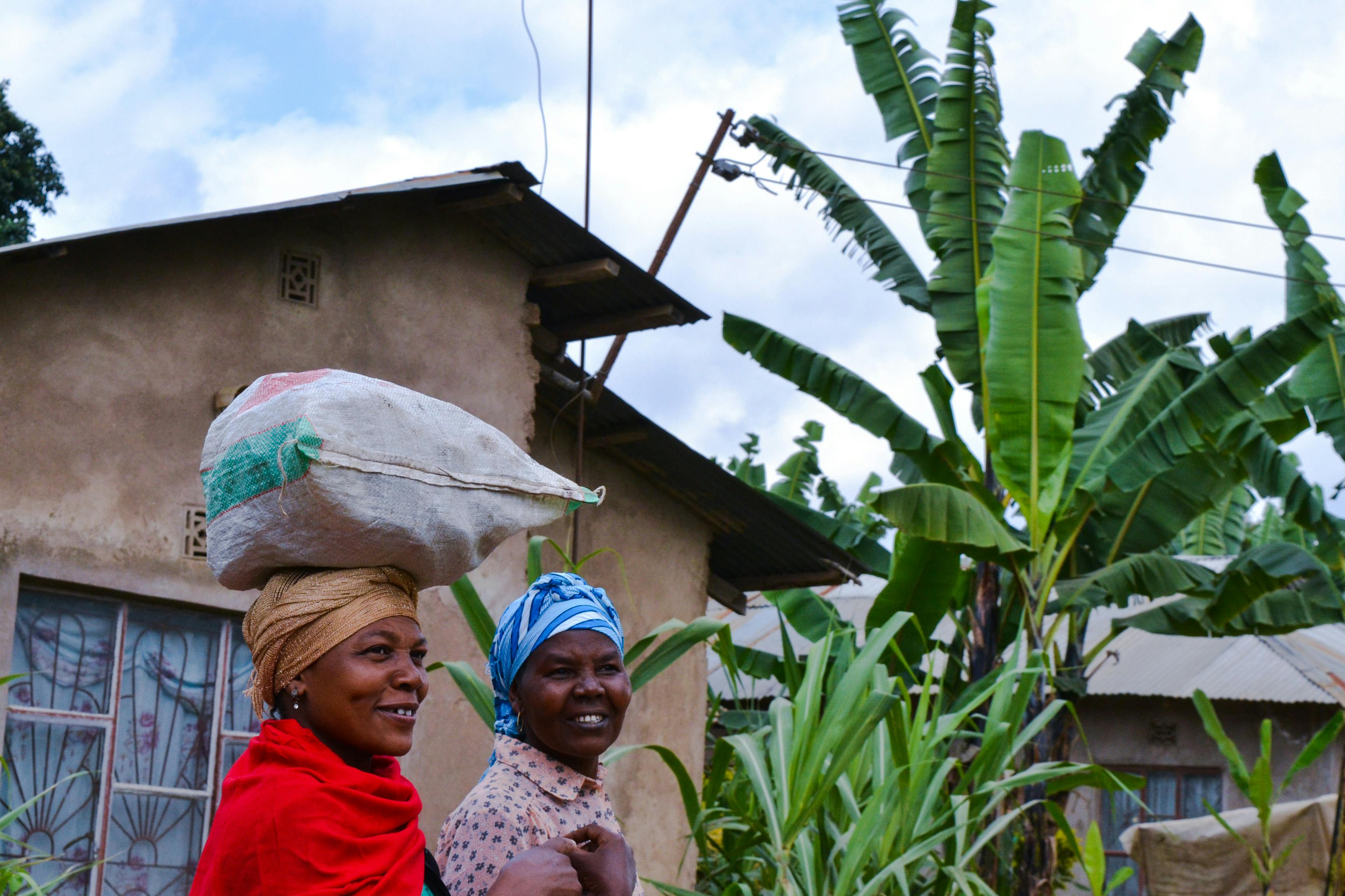 Energy Storage for Off-Grid Africa: Powering 5,000 Homes.